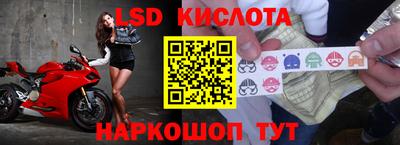 бошки Донецк