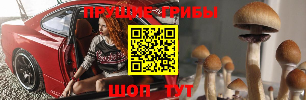 Псилоцибиновые грибы ЛСД  Вход с VPN  Курганинск 